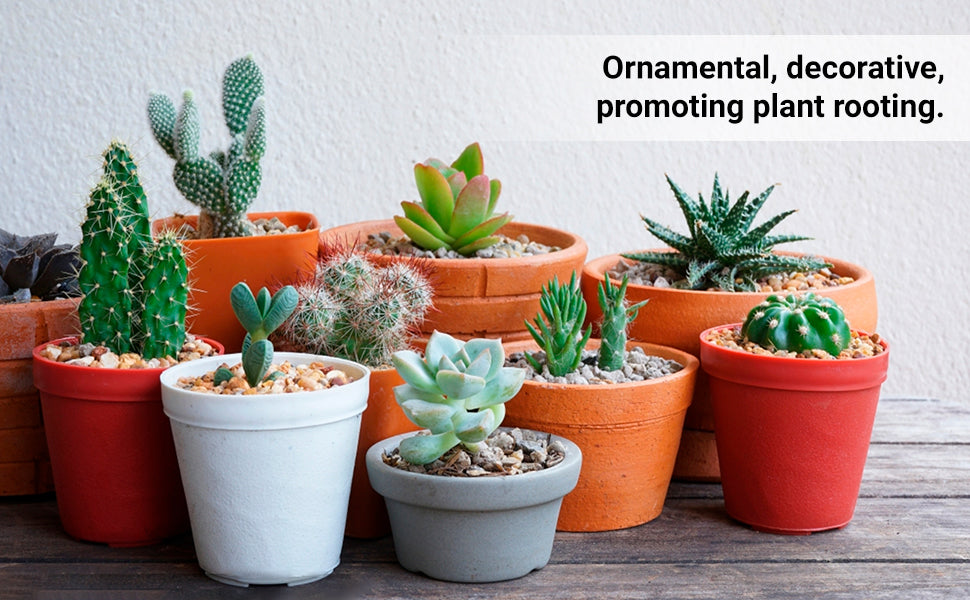 Understanding the Vital Role of Akadama Bonsai Soil for Succulents and