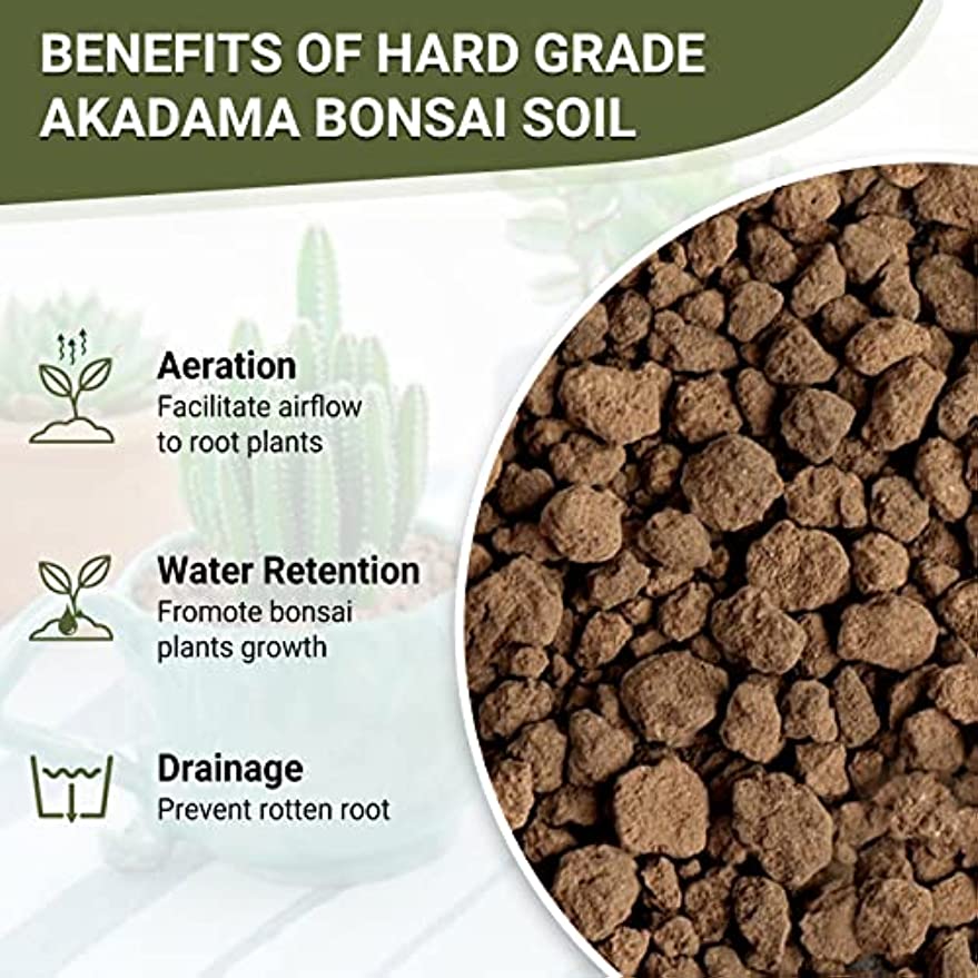 Jowlawn Akadama Bonsai Soil for Succulents and Cactus, 12oz Hard Akada