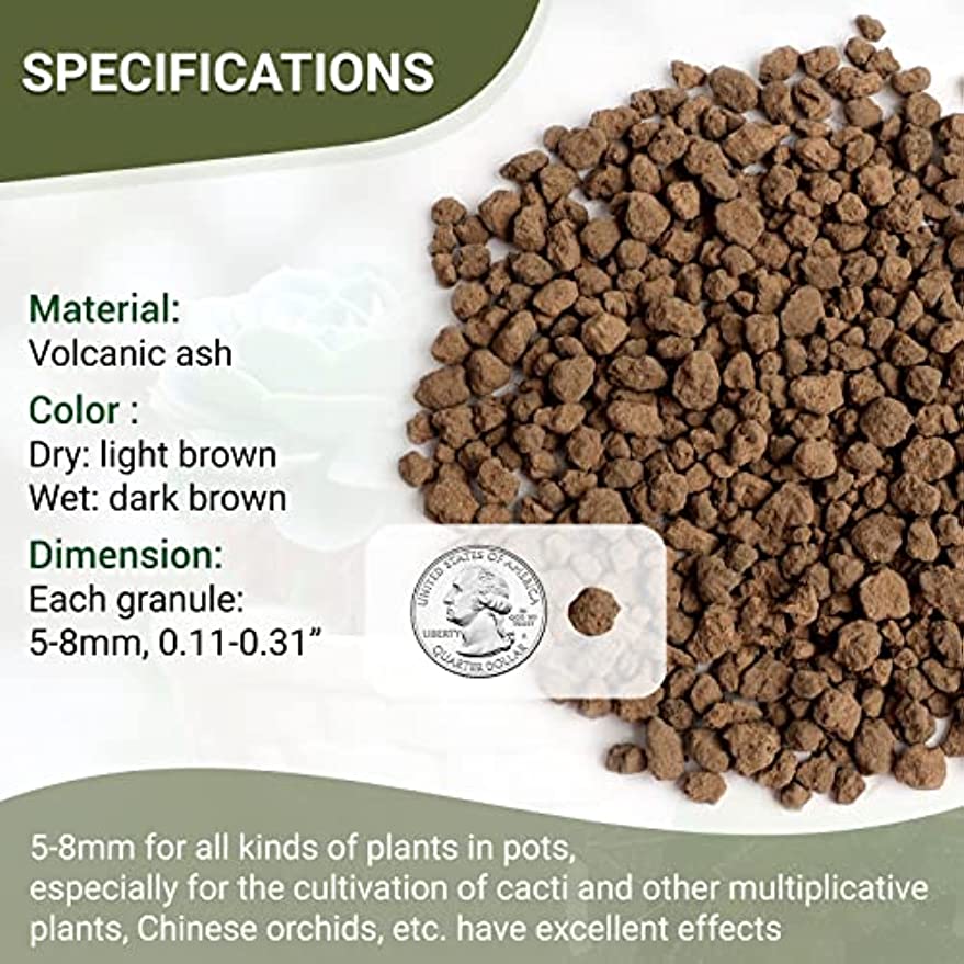 akadama soil for cactus Jowlawn Akadama Bonsai Soil for Succulents and Cactus, 12oz Hard Akada